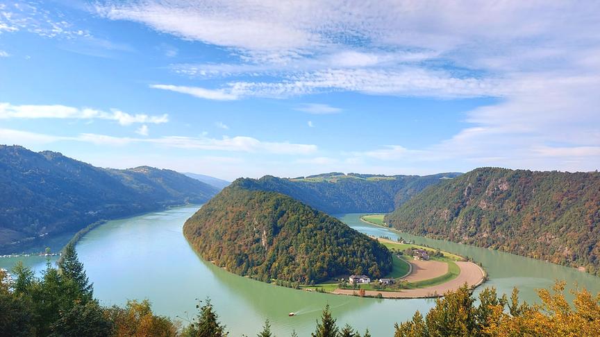 © Andrea Weidlinger Schlögener Schlinge im Herbstgewand (Andrea Weidlinger)
