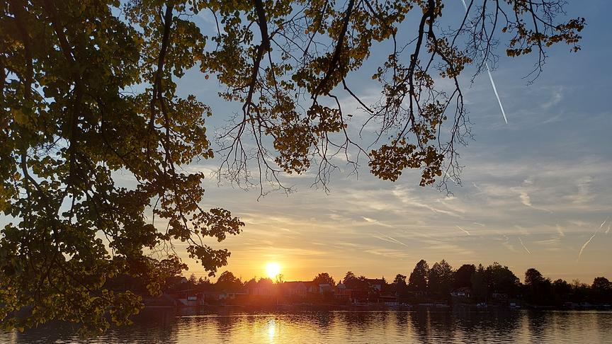 © Daniela Kainc Sonnenuntergang am Neufeldersee (Daniela Kainc)