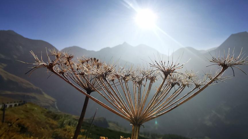 © Maria Harlander Wunderbares Herbstwetter Blick Berge Glocknergruppe (Maria Harlander)