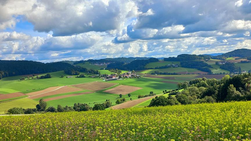 © Sabine Lauß Blick übers Mühlviertel! (Sabine Lauß)