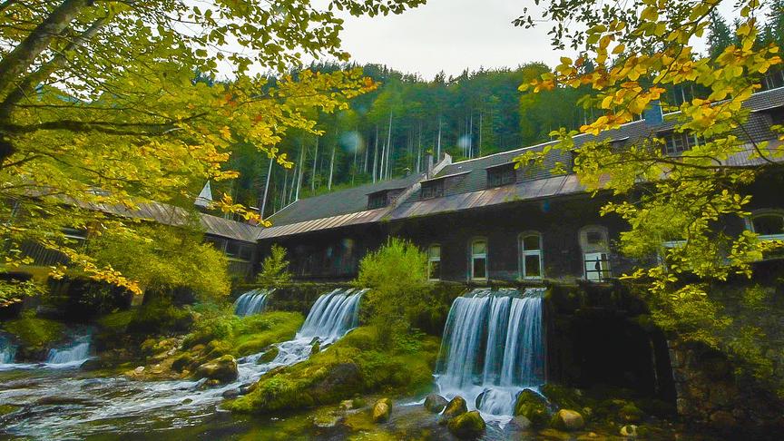 © Siegfried Schlager Herbstfarben in Rossleithen (Siegfried Schlager)