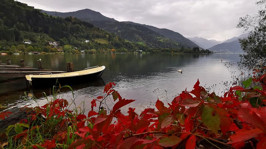 © Maria Harlander Der Zeller See Spiegelglatt vom Nordufer (Maria Harlander)