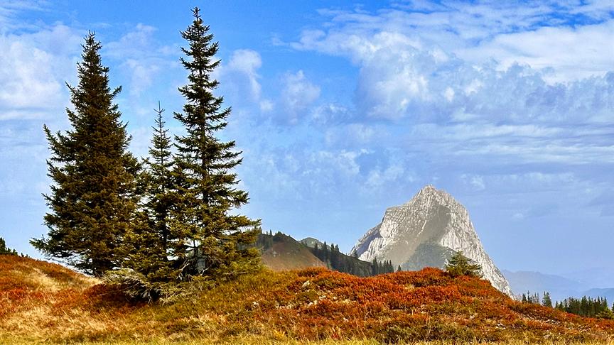 © Heidi Pichler Das Steirische Matterhorn, der Lugauer, im Gesäuse (Heidi Pichler)