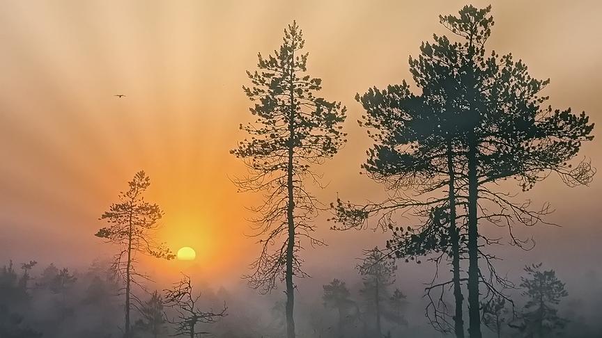 © Peter Grill Sonnenuntergang (Peter Grill)