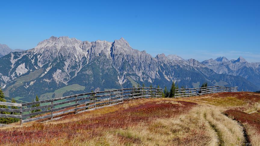 © Leopold Schützeneder Goldener Herbst in den Leoganger und Loferer Steinbergen (Leopold Schützeneder)