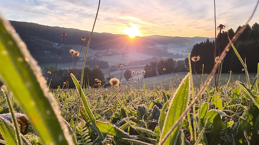 © Helga Grimps Herbstfrost (Helga Grimps)